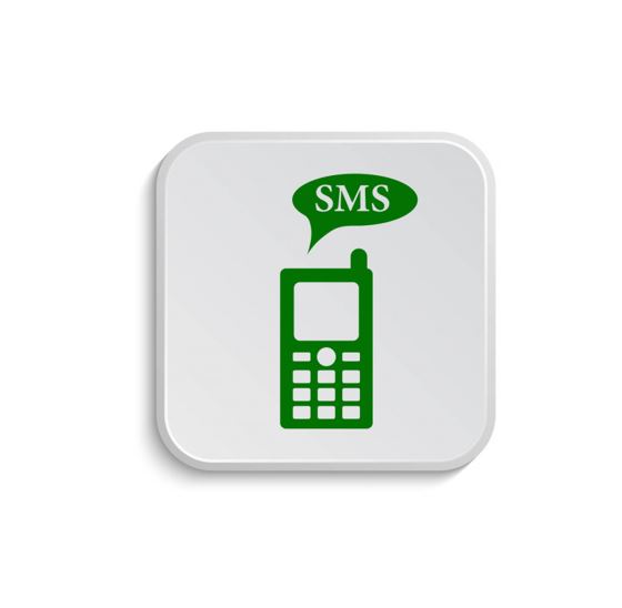 Голосование и регистрация участников через код СМС сообщения